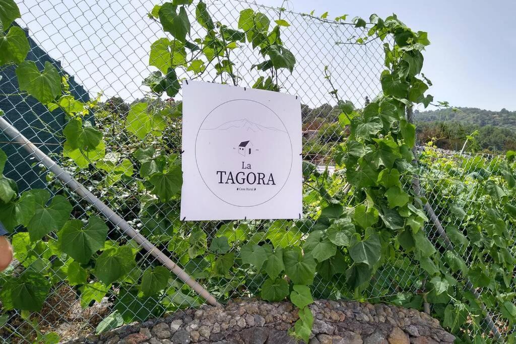 La Tagora Conect With The Nature & Relax Icod De Los Vinos Exterior photo