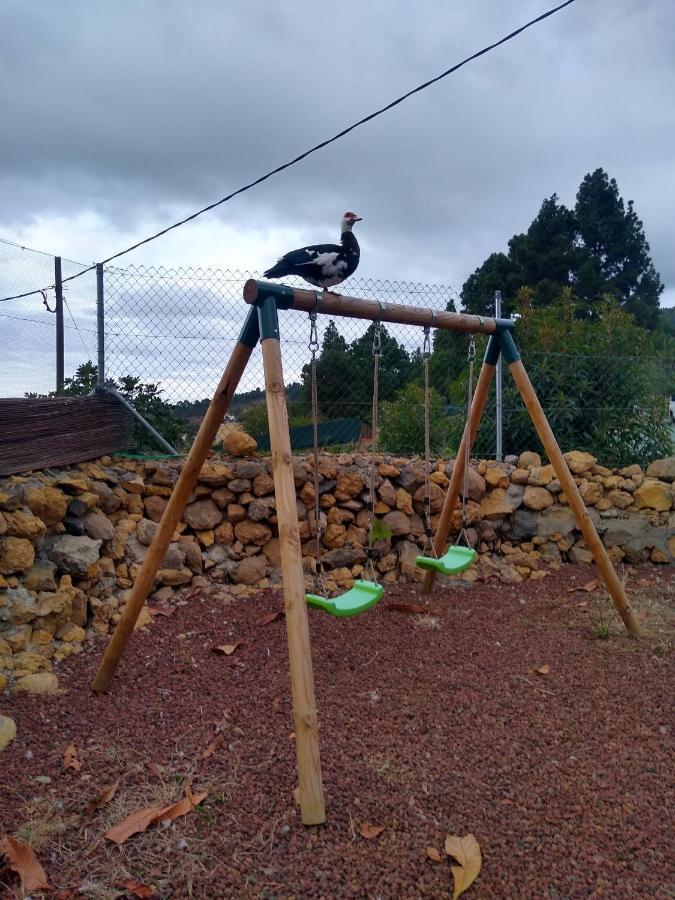 La Tagora Conect With The Nature & Relax Icod De Los Vinos Exterior photo