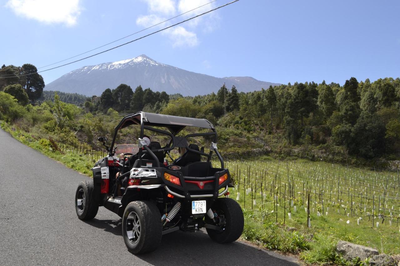 La Tagora Conect With The Nature & Relax Icod De Los Vinos Exterior photo